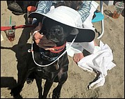 IMG_4213.JPG
