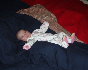 Here getting comfortable on Mom & Dad's bed -alert and ready to play!